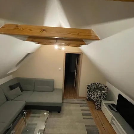 Wellness Astra 招待所 Stará Lesná