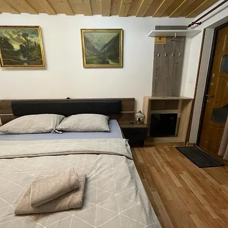 Wellness Astra 招待所 Stará Lesná